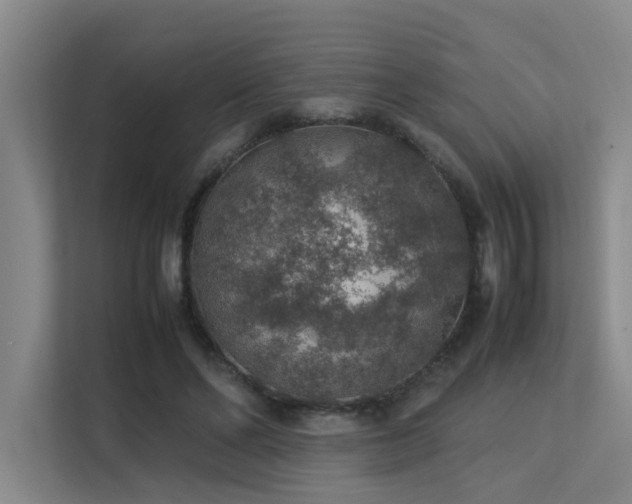 X0000113310494200909141315