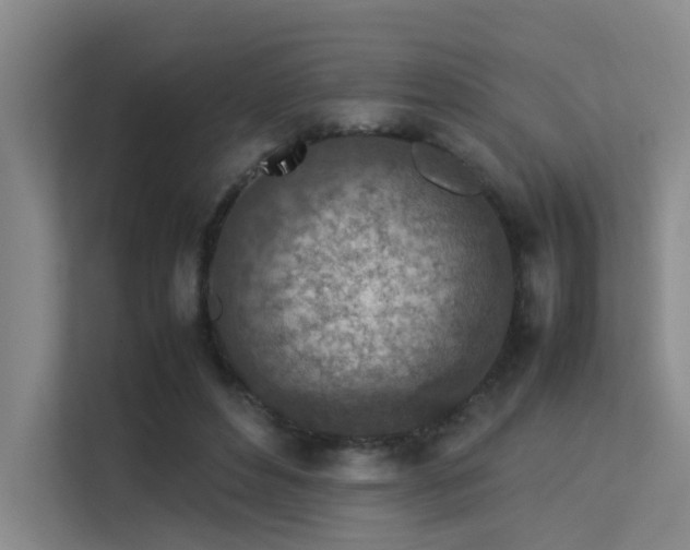 X0000113310496200909141314