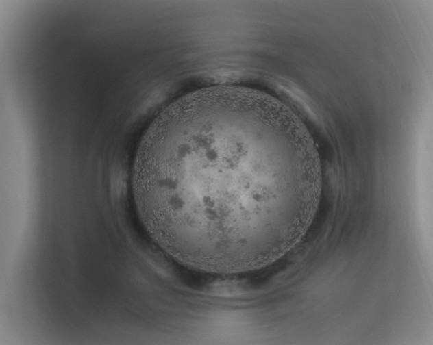 X0000113310499200909141314