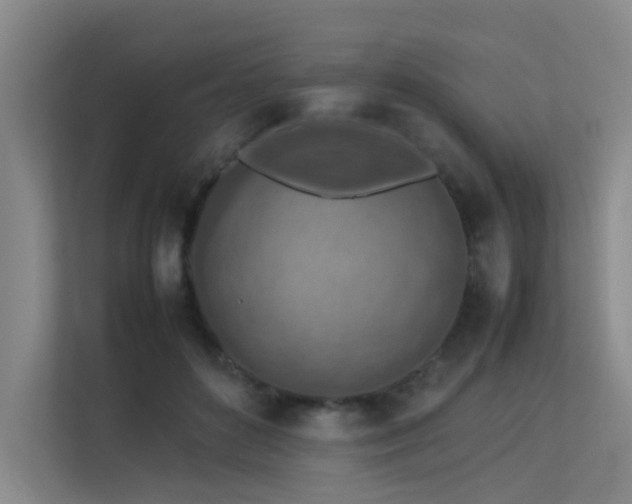 X0000113310504200909141314