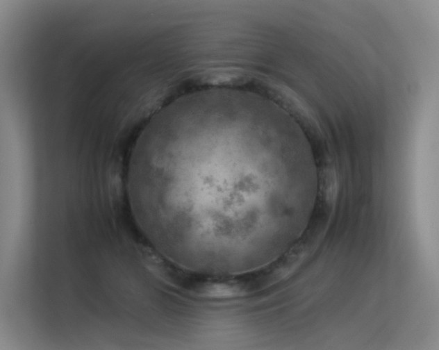 X0000113310510200909141314