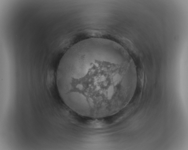 X0000113310511200909141314