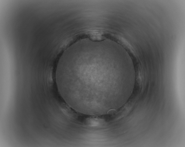 X0000113310512200909141314