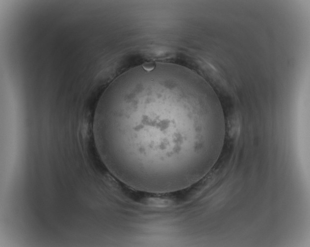 X0000113310515200909141314