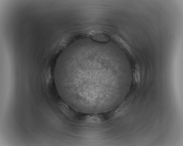 X0000113310520200909141314