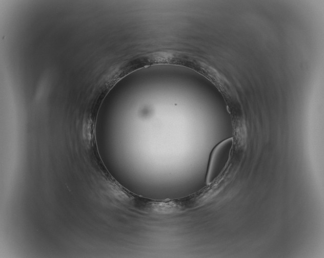 X0000113310525200909141314