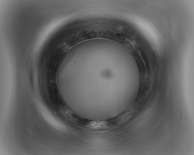 X0000113310526200909141314