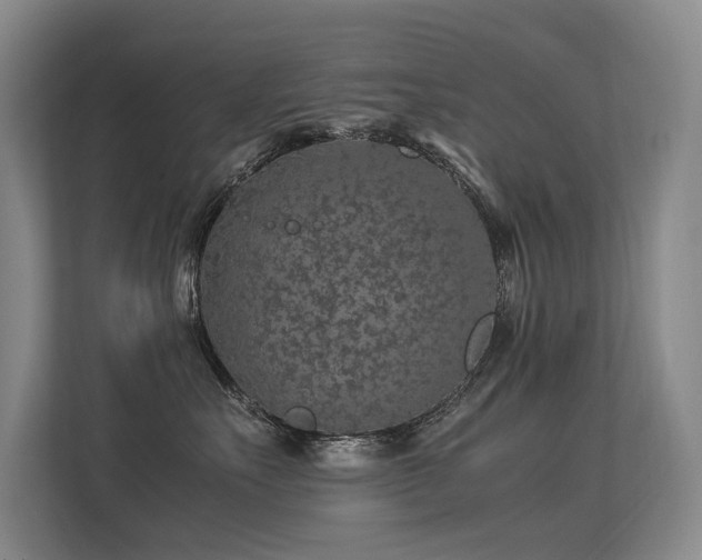 X0000113310527200909141314