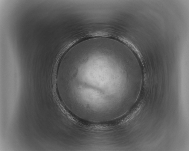 X0000113310529200909141313