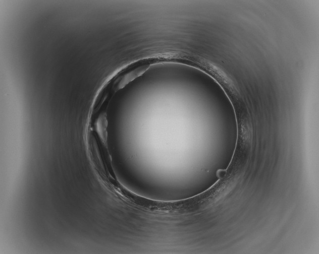 X0000113310532200909141313