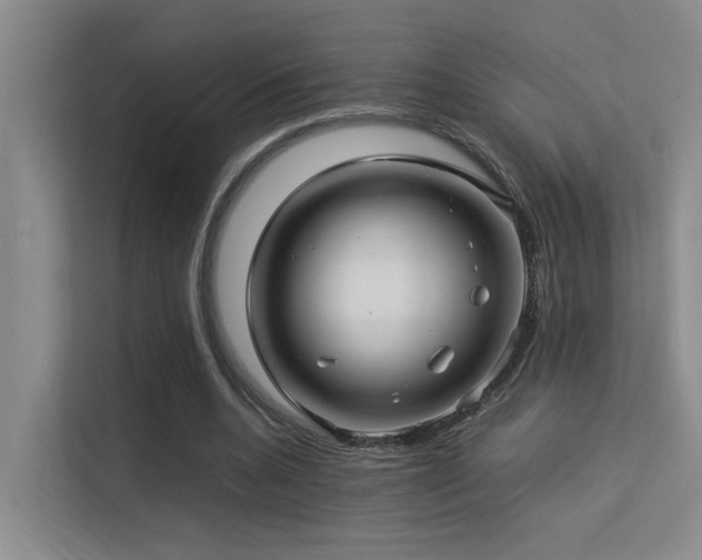 X0000113310536200909141314