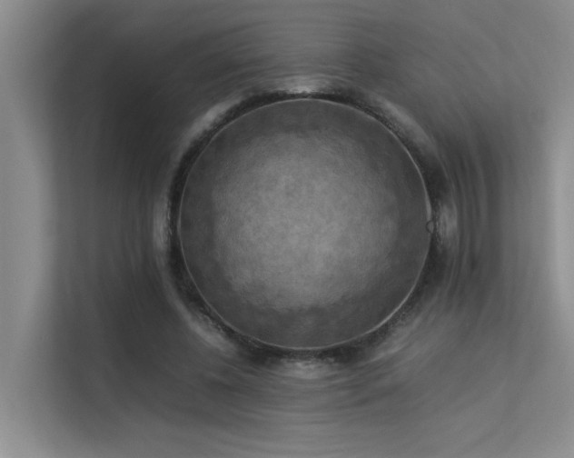 X0000113310540200909141314