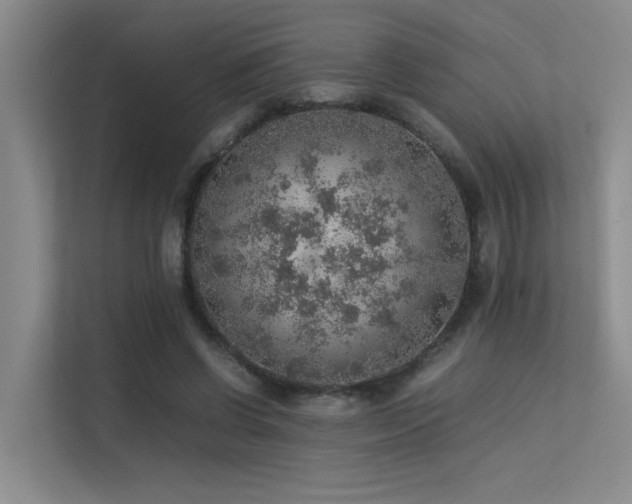 X0000113310542200909141314