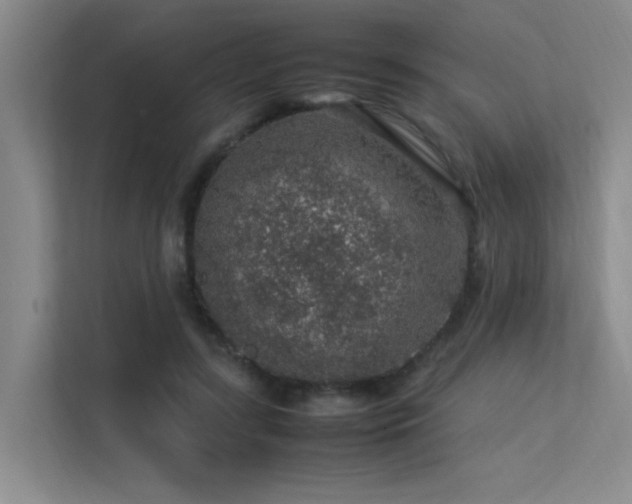 X0000113310547200909141314