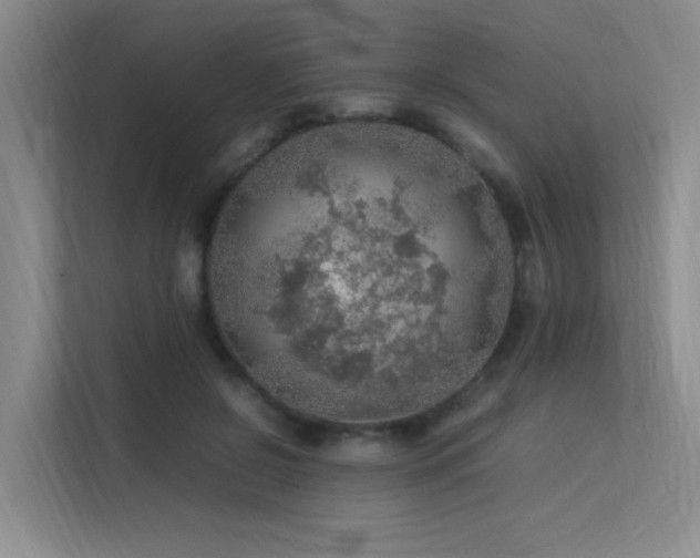 X0000113310550200909141314