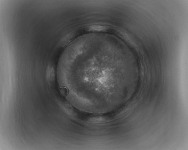 X0000113310551200909141314