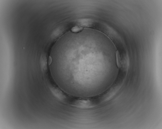 X0000113310552200909141314