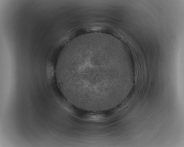 X0000113310555200909141314