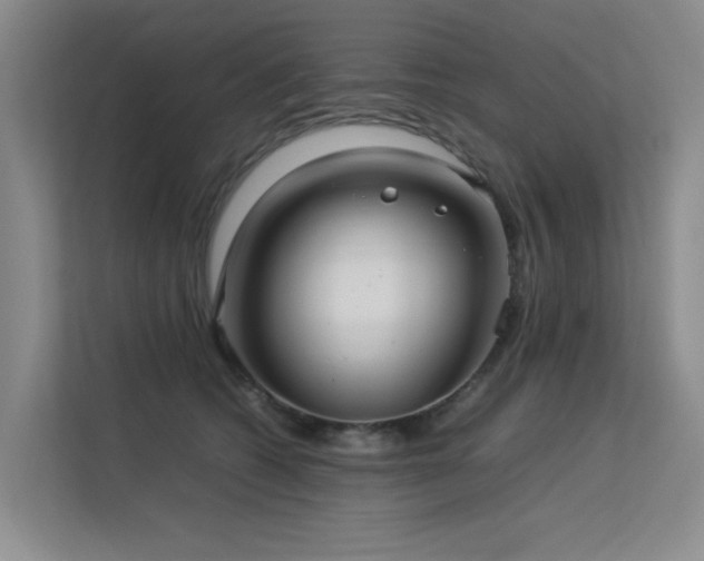 X0000113310562200909141314