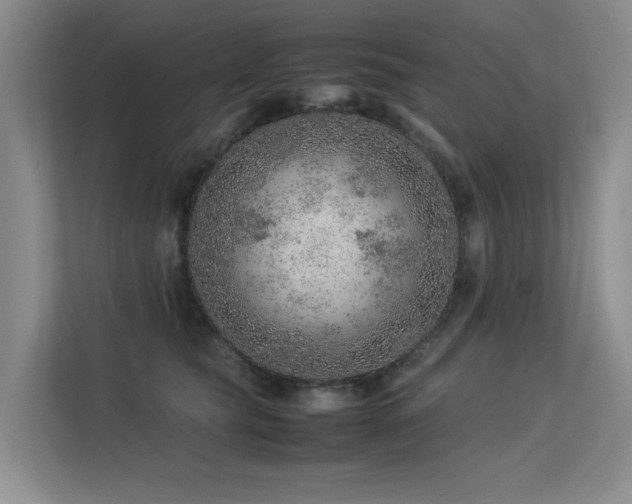 X0000113310565200909141314