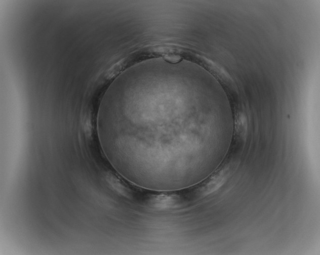 X0000113310566200909141314