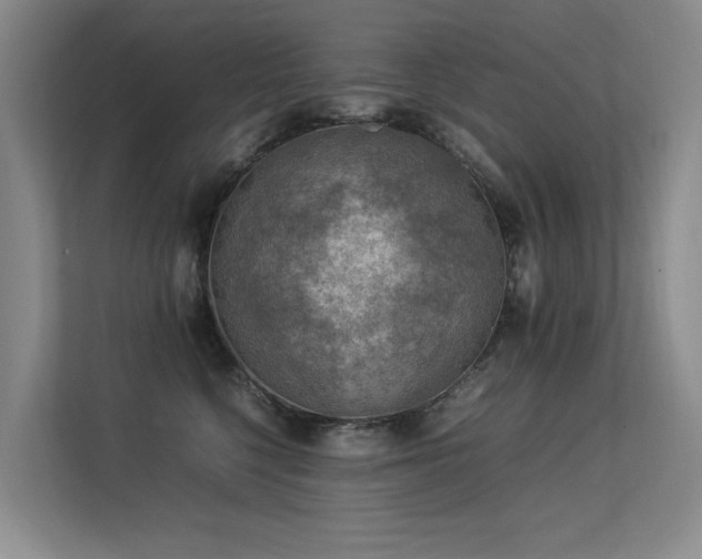 X0000113310568200909141314