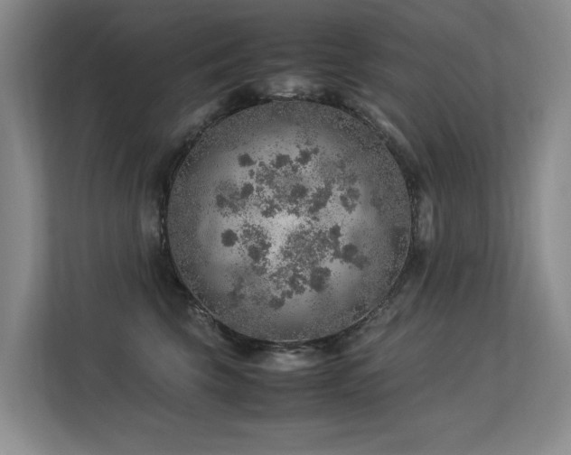 X0000113310569200909141314