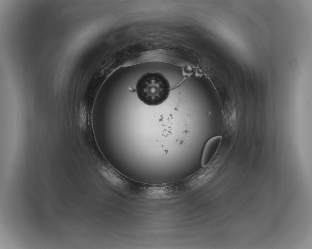 X0000113310574200909141314