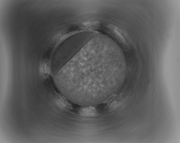 X0000113310576200909141314