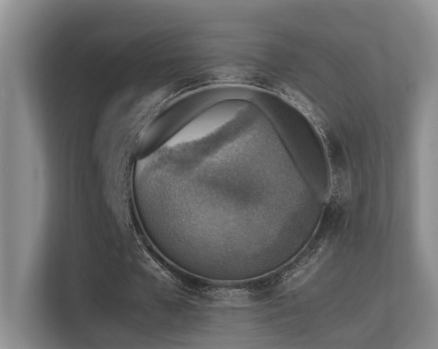 X0000113310577200909141313