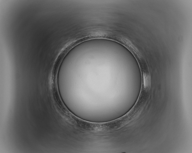 X0000113310579200909141313