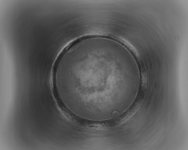 X0000113310580200909141313