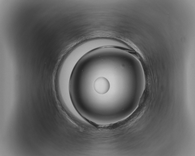 X0000113310581200909141313