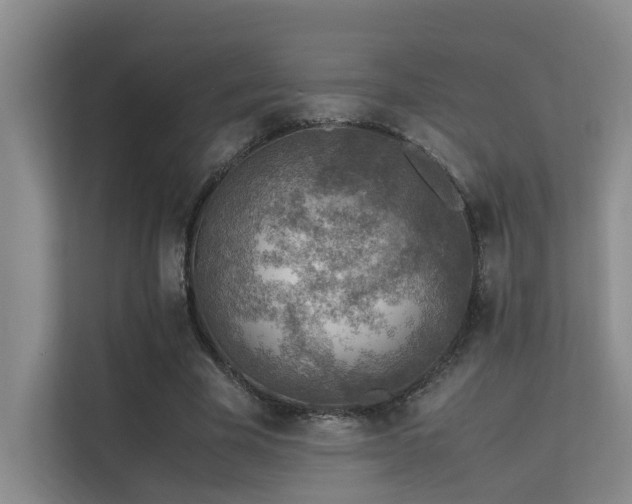 X0000113310585200909141313