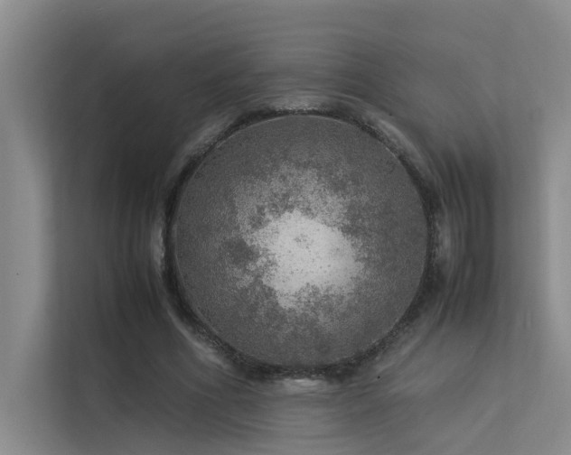 X0000113310586200909141313