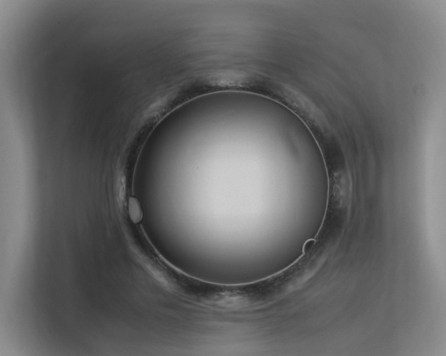 X0000113310589200909141313