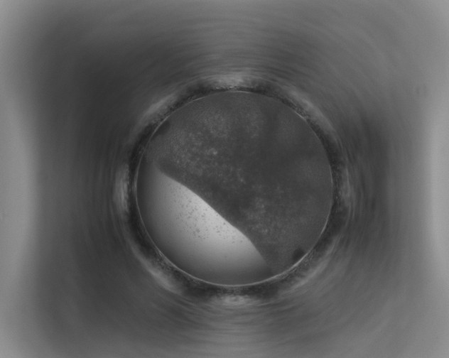 X0000113310590200909141313