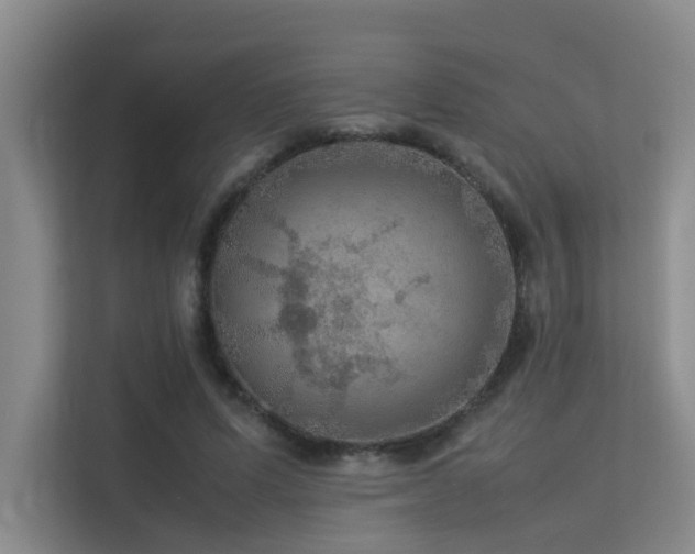 X0000113310591200909141313