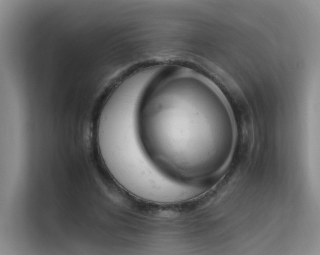 X0000113310592200909141313