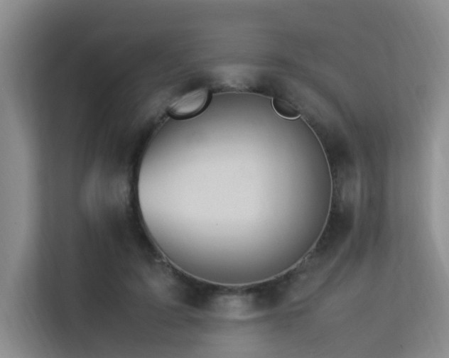 X0000113310595200909141313