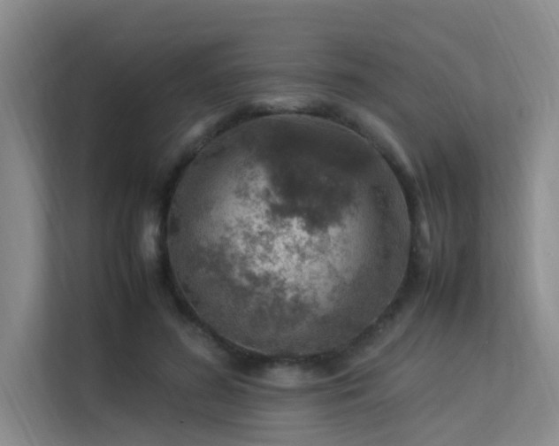 X0000113310596200909141313