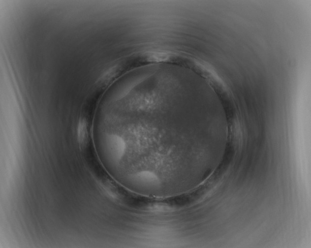 X0000113310598200909141313