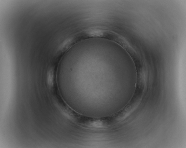 X0000113310600200909141313