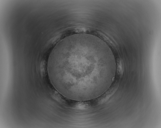 X0000113310616200909141313