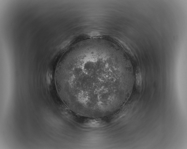 X0000113310618200909141313