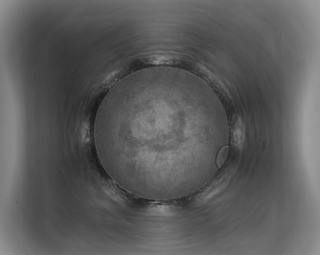 X0000113310620200909141313