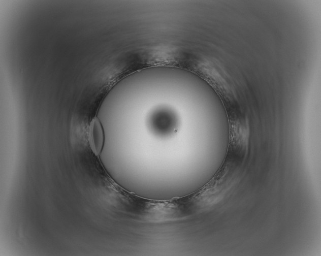 X0000113310621200909141313