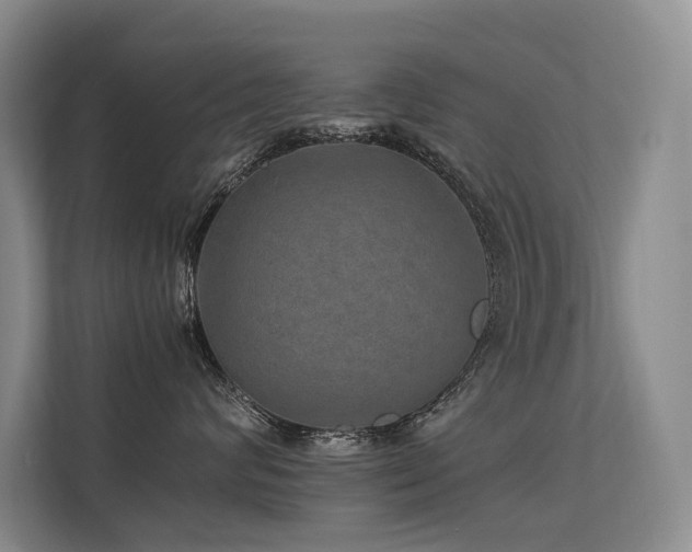 X0000113310624200909141313