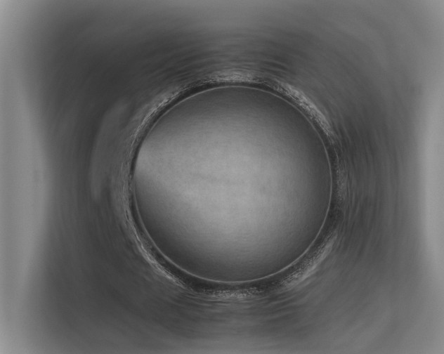 X0000113310625200909141312