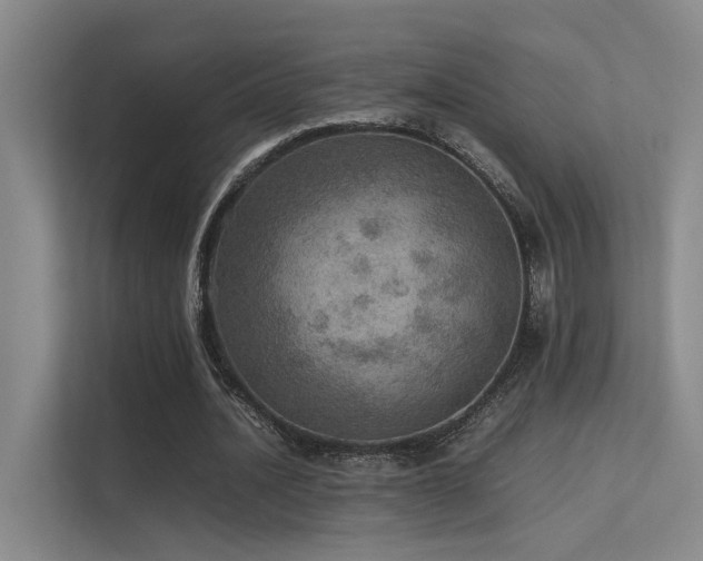 X0000113310628200909141312